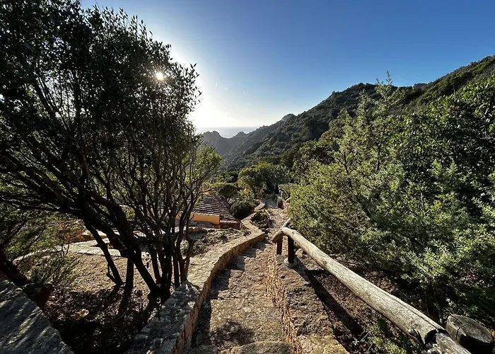 Li Rocchi By Interhome Ferienhaus Costa Paradiso